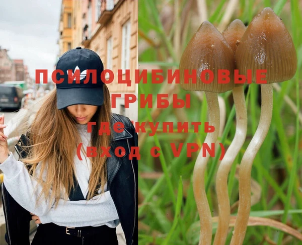 герыч Магас
