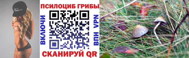Галлюциногенные грибы GOLDEN TEACHER  Купить  Облучье 